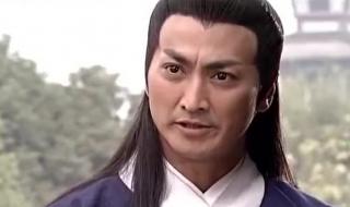 新包青天白龙驹 新包青天白龙驹