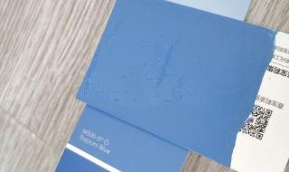 涂料百色熊 涂料百色熊