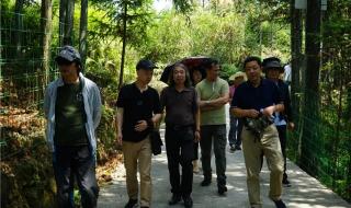 厦门大学艺术学院 厦门大学艺术学院