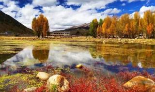 我心爱的人 我心爱的人