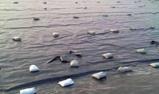 鱼塘防渗膜一般多厚