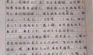 小学生作文精选 小学生作文精选