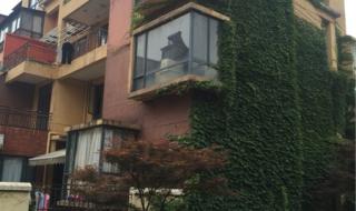 武汉万科四季花城