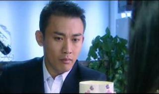 像风一样离去大结局 像风一样离去大结局