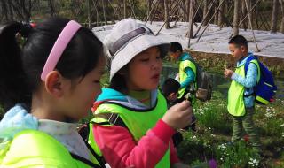 表白妈妈最暖心短句 表白妈妈最暖心短句