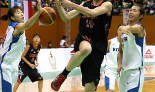 2013男篮亚锦赛冠军 2013男篮亚锦赛冠军